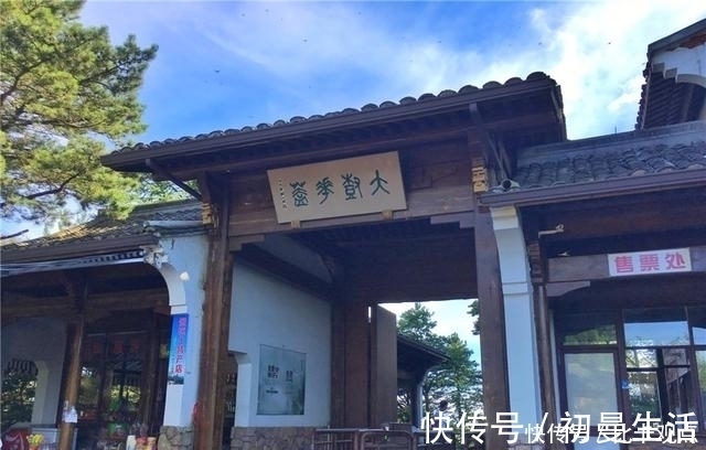 天目|天目山大树王国，全球仅存的五棵天目铁木都在这里