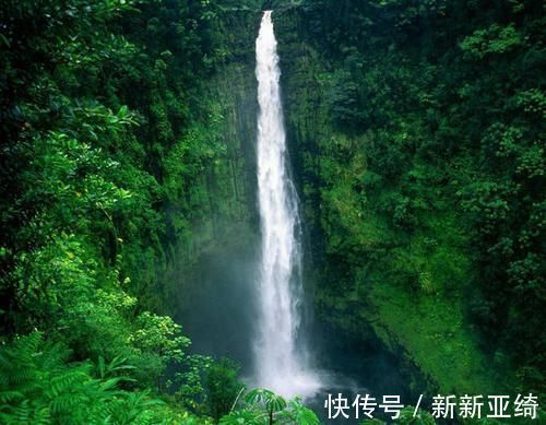 郭沫若!鲁迅去世四年后,郭沫若说了两句意味深长的话,如今看来真有水平