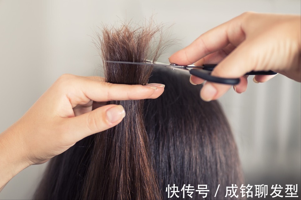 发梢|头发干枯开叉怎么办?试试这三个护发小妙招,让你秀发顺滑有光泽
