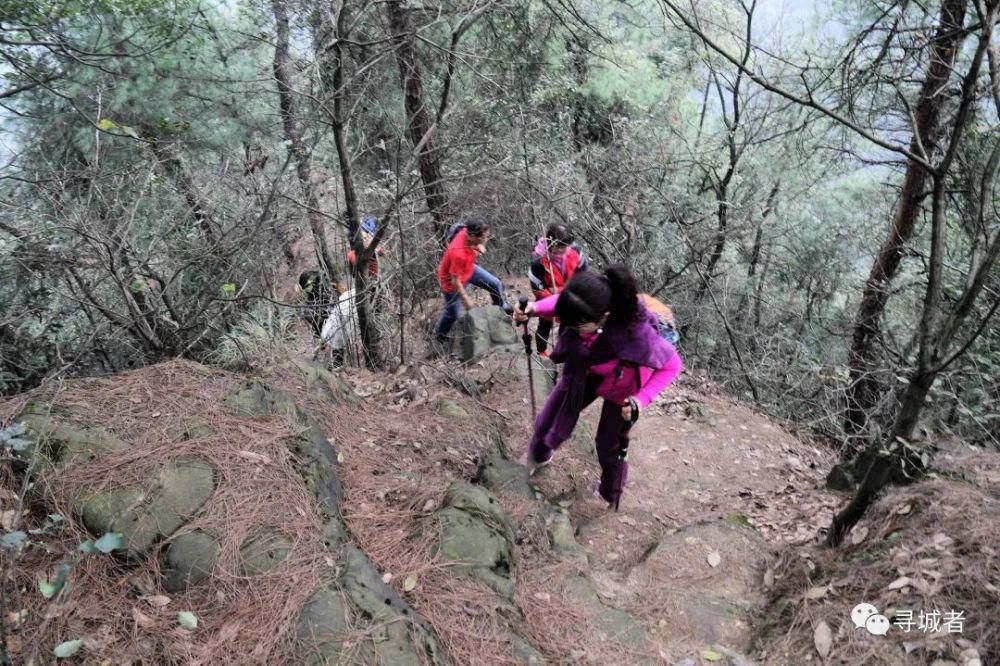 更喜南山千倾野，卅公里后尽开颜