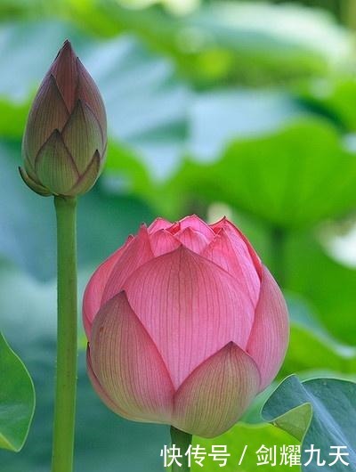 充满正能量的人生哲理语录,精辟透彻,让人幡然醒悟!