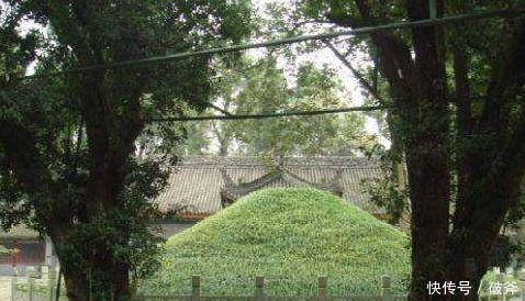 决策|诸葛亮墓历经1700年,为何始终无人盗全靠刘禅当时一个决策!