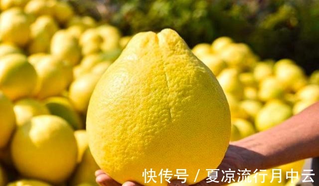 家乡|全国哪里的柚子最好吃认准这6个柚子产地,看有你家乡吗!