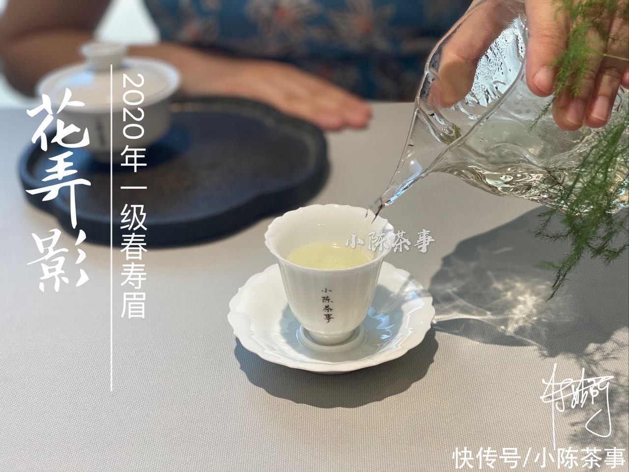茶树|从产区、工艺到冲泡,全方位教你挑选寿眉,不藏私,都分享给你
