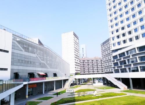 资格|继东北大学后，国内又一所高校取消119名新生入学资格，是何原因