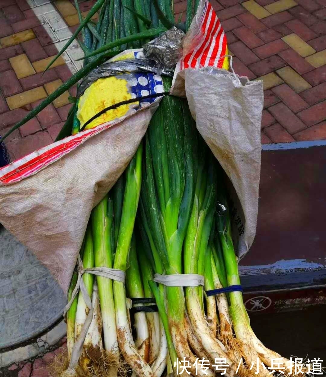 明年|楼房冬天咋保存大葱?教你1妙招,吃到明年春天都不空心、不烂心