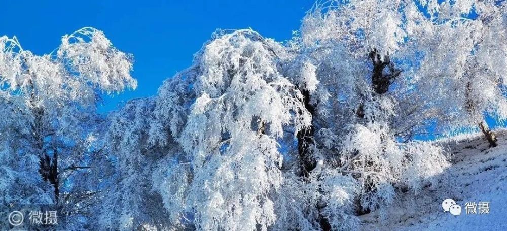 童话|那拉提将童话带入现实，这样的雪景你心动了吗？