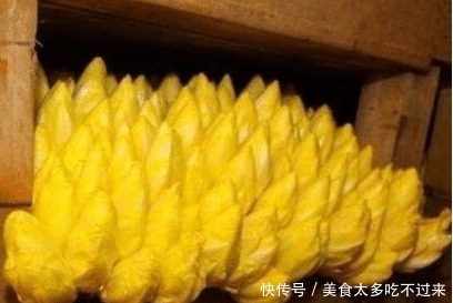 养花不如养这种“蔬菜”, 价值70元一斤, 家里养一盆, 好看更好!