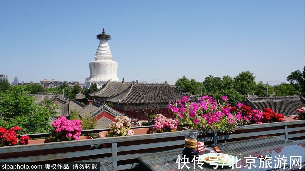 朱瞻墉|春风里听鸽哨，晴空下望白塔，京城专属“浪漫”！