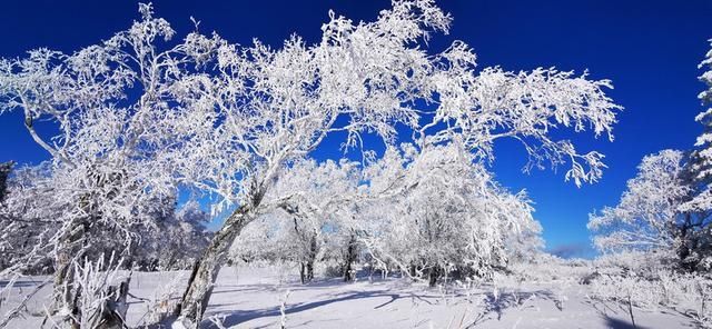 欢乐|徒步、研学、雪地摩托技巧趣味挑战赛……凤凰山景区系列活动解锁今冬欢乐冰雪季