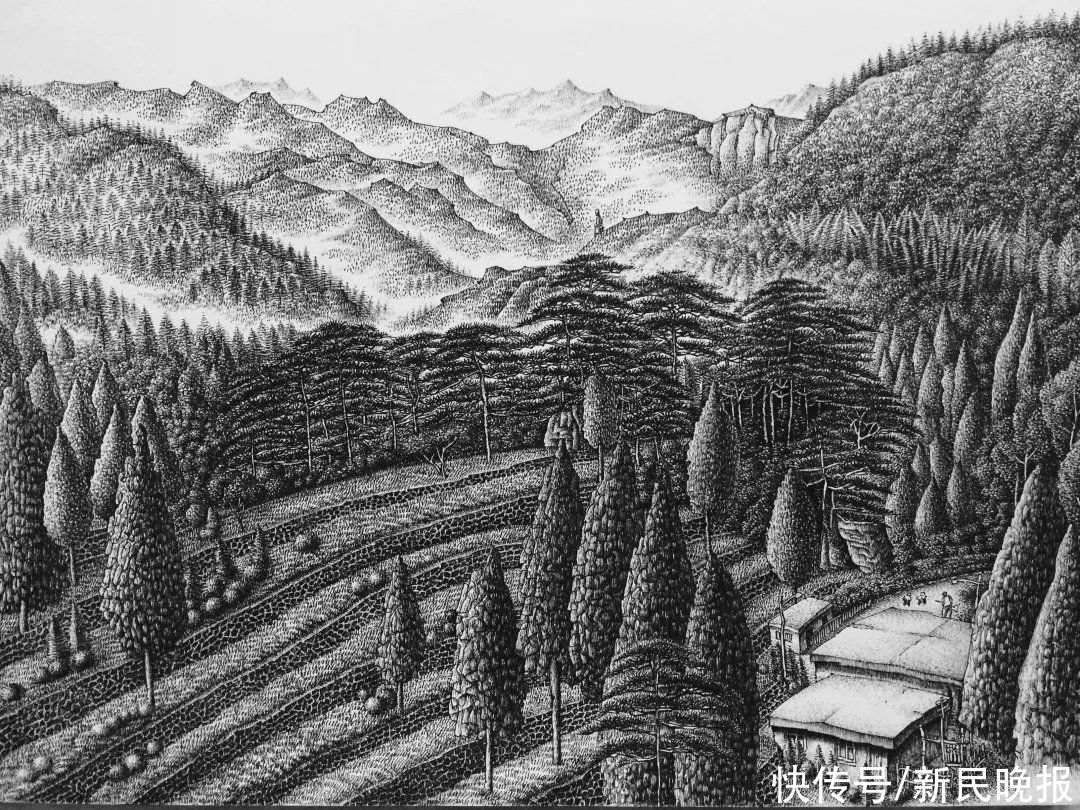 金汇|惊艳！钢笔画里的上海水乡