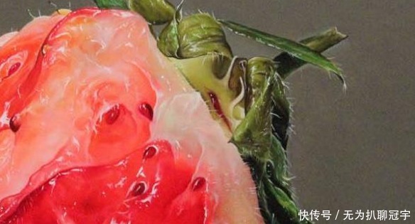 这位80后画家画一“坏草莓”,卖出20万,放大10倍看很真实