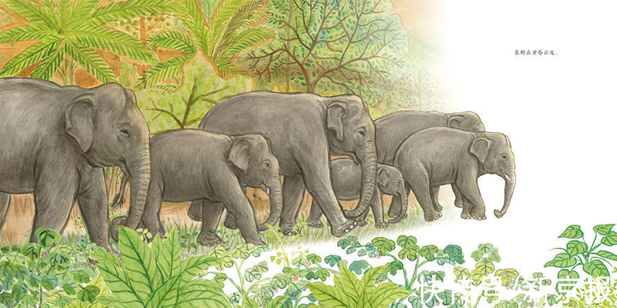 爸爸妈妈#对话700位名人的童年 | 童书新品