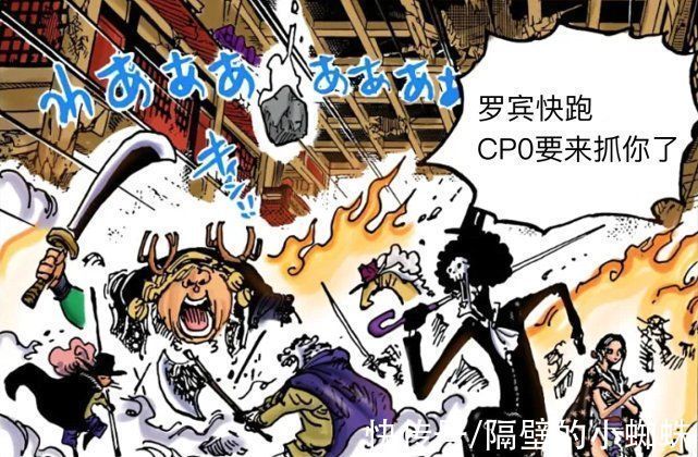 罗宾|海贼王1031话情报:神预言!CP0追杀罗宾,布鲁克将展示全部实力