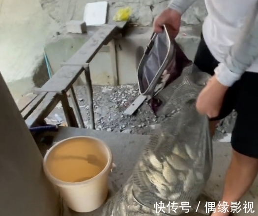 上海一河道鲫鱼大爆发,一天轻松钓上十几斤,有人拄着拐杖去钓鱼