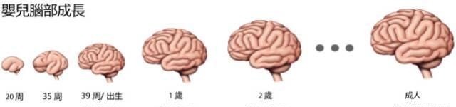 孩子|又想玩手机，又要陪孩子除了焦虑，家长可以试试“3T”法则