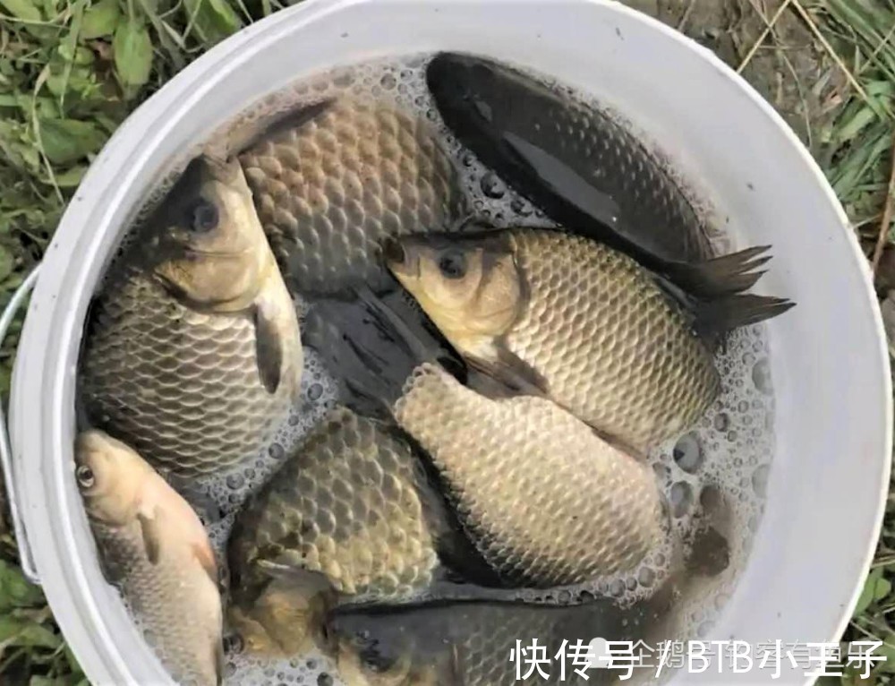 冬季野钓用这种钓法，抗流水，鱼口信号明显，渔获翻倍