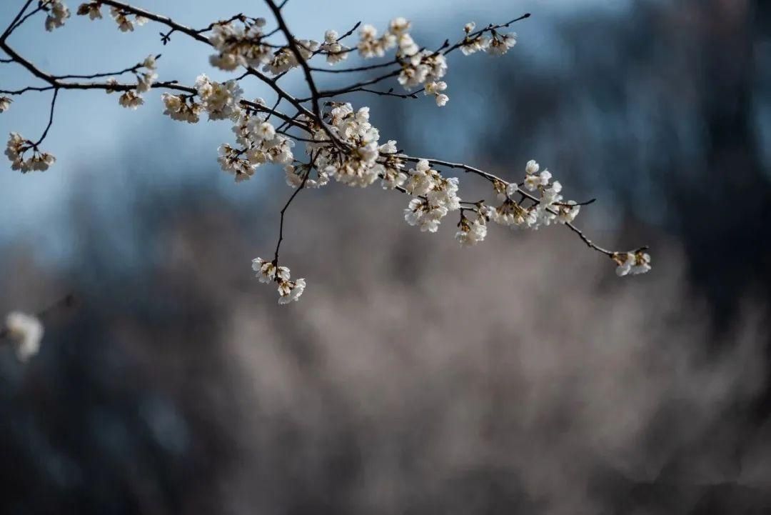 老年|信阳市光山县一景色被央视点赞
