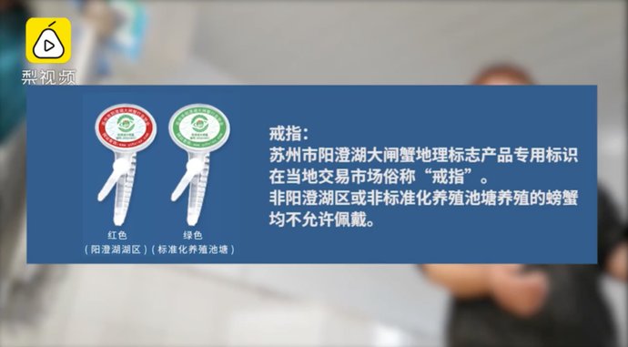 阳澄湖大闸蟹|神奇！去这里洗澡，身价就能暴涨3倍