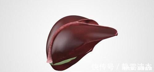 肝脏|蒲公英加一物,经常泡水喝,净化血液,肝脏或许会“感激涕零”