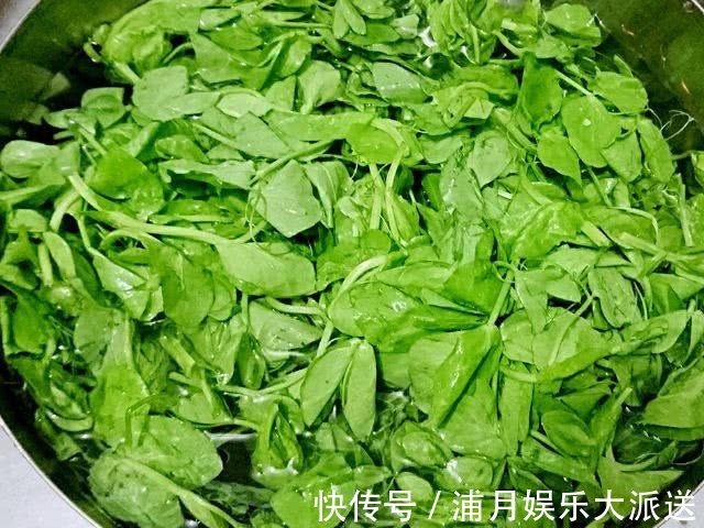 荠菜|视力的“特效药”被发现了,孩子每天坚持吃,护眼效果堪比眼药水