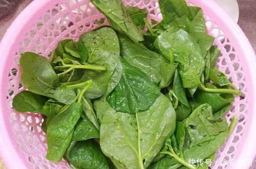 牛奶|含钙量不输牛奶，嫩叶口感清脆爽口，俗称“豆腐菜”，吃过吗？