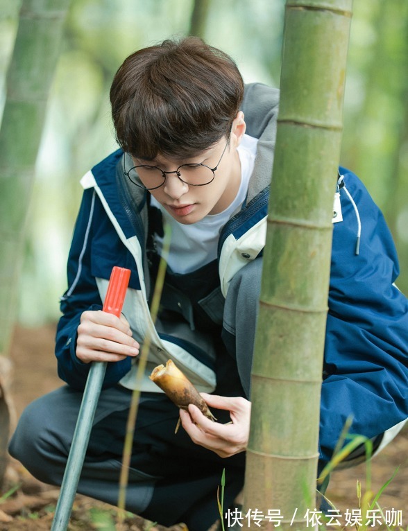 張藝興因舊傷復(fù)發(fā)，要退出《向往5》，并不是因為劉憲華