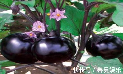 食物|人到中年想长寿，不妨多吃3种食物，排毒抗衰，滋养肌肤