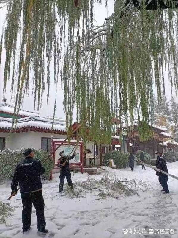 百菊赛|暴雪来临，济南天下第一泉风景区应急处置雪情