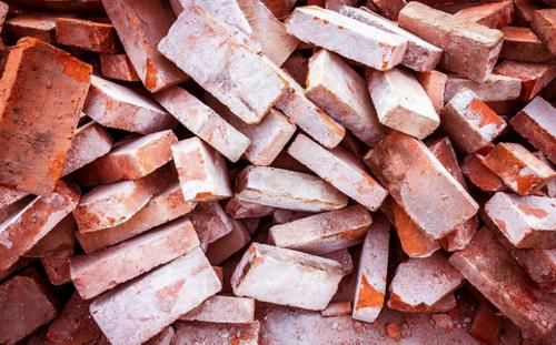 春天常去“轧马路”的人，多捡些它们养花吧，省钱实用