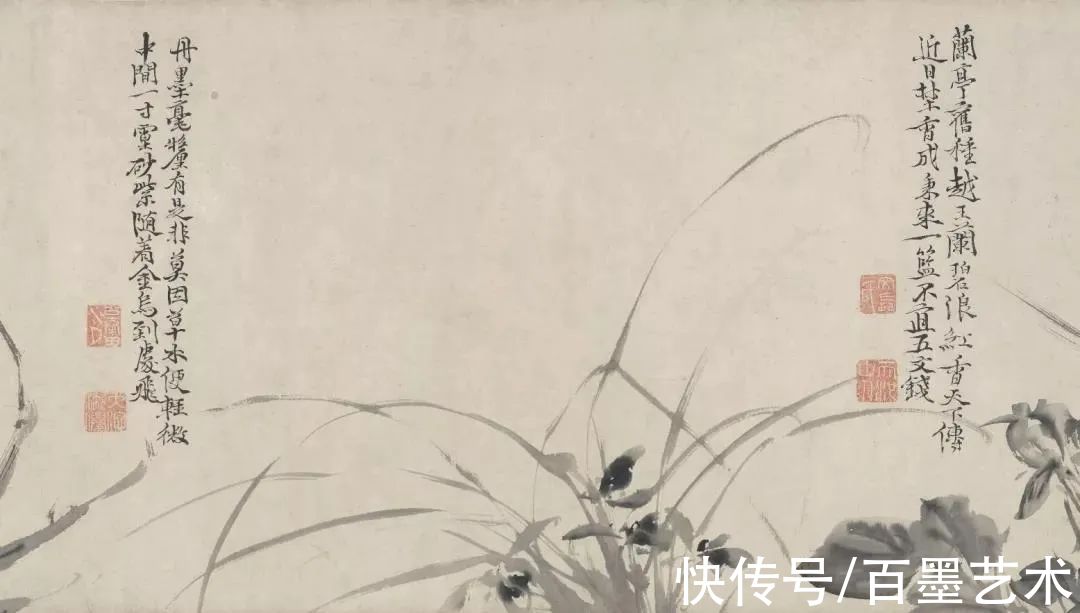 明朝@青藤白阳：明朝花鸟两大高峰