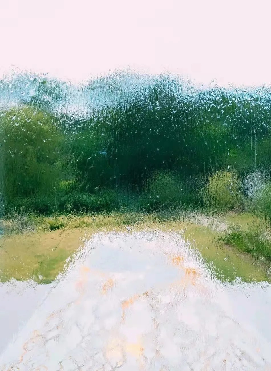 窗台&十首诗,告别2021年