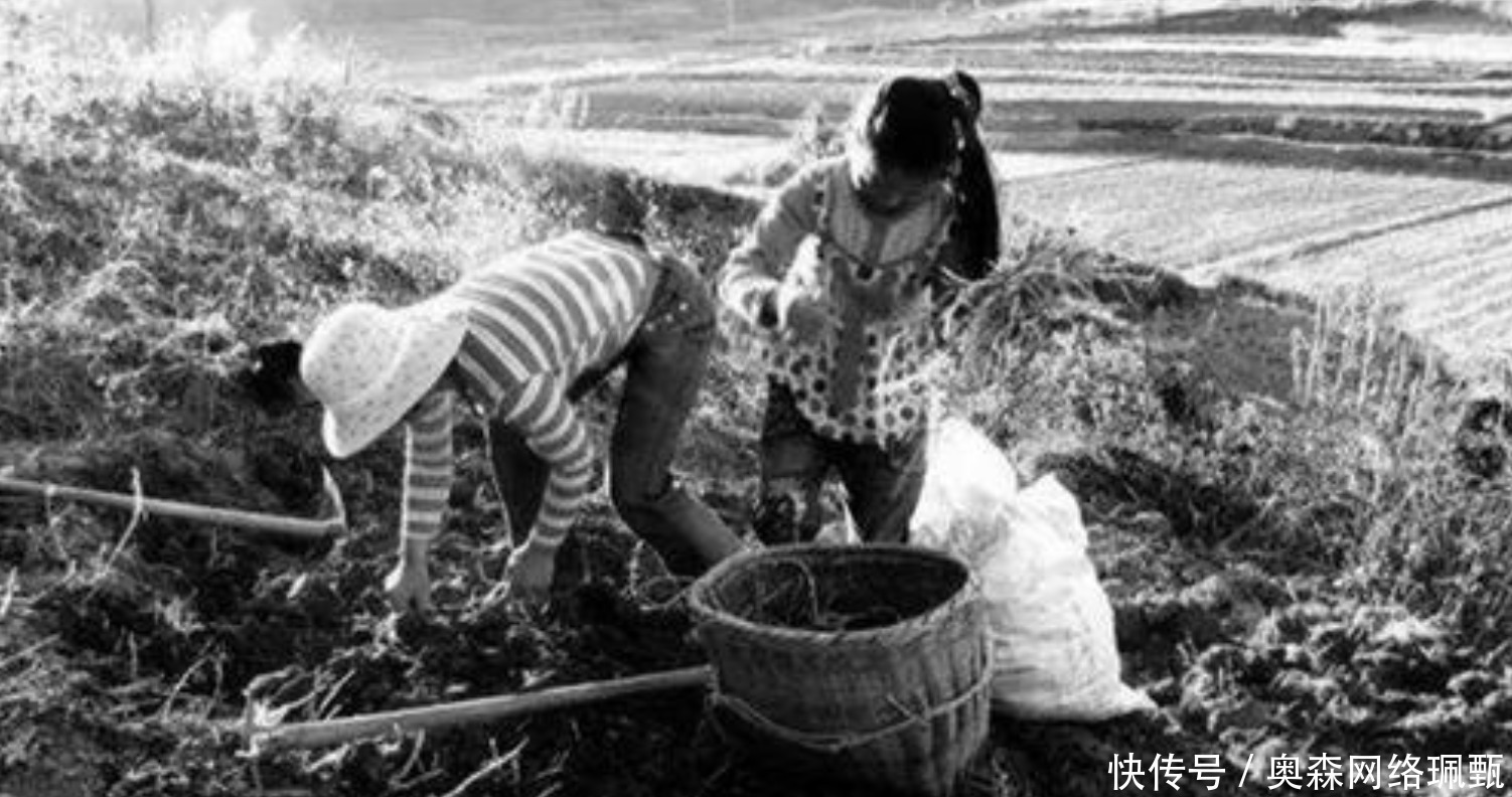 当初17岁姑娘挖草发现“小船”,上交获68元,现在价值一千万