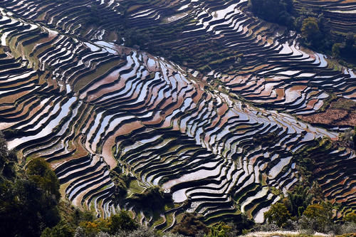 元阳坝达梯田景区，最佳日落观景点，可惜运气差了一点点