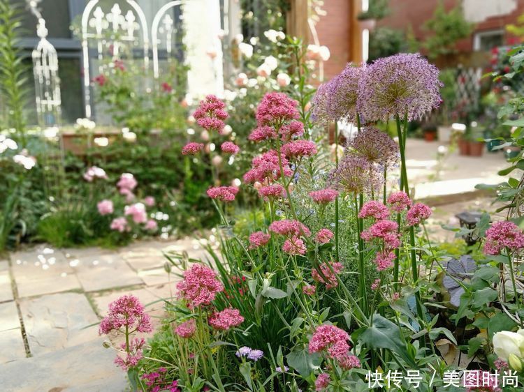 美好时光|花园改造：3年前买了栋带170㎡花园的房子，过上种花草的乡村生活