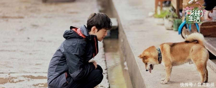 向往的生活：张艺兴说我现在太封闭了，彭昱畅钉钉子钉了个寂寞