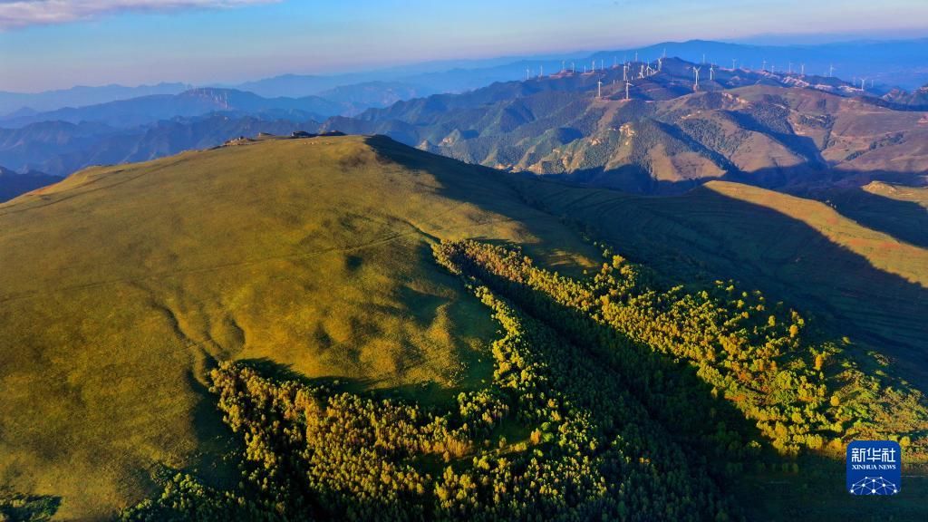 山西灵丘：“空中草原”秋意浓