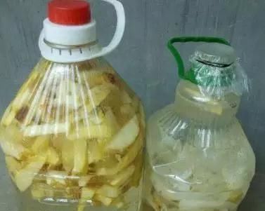 君子兰|养了9年花草,才知道家家都有的“2种”废物,正确使用,养啥旺啥