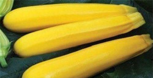 延缓衰老|女性到了中年,常吃3种食物,补血益气,缓解疲劳,增强抵抗力