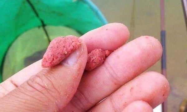 调漂技巧带饵调漂的操作要领和公式，按照公式调漂，肯定错不了