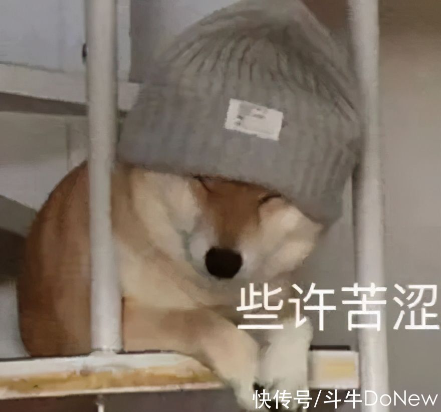 同款|药水哥同款YEEZY洞洞鞋卖疯了，网友却喷阿迪又耍猴？