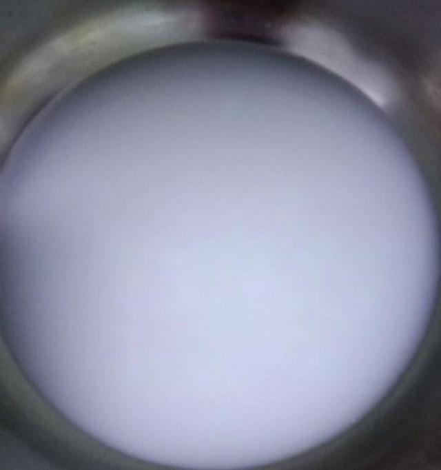 牛奶红豆燕|天然“BB霜”终被发现,每天吃一点,美白变美,皮肤滑嫩水汪汪