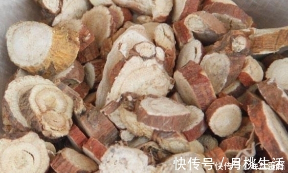 多糖|外行吃人参,内行吃黄芪,常用黄芪泡水喝,惊喜“不请自来”