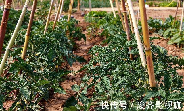 甲醛|凶手竟藏家中15年,家中有的尽快扔掉,释放大量甲醛