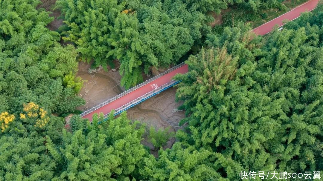 丰惠|跟我游瑞安，体验乡村之旅，感受田园风光，文化旅游主题精品线路