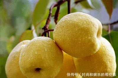 来自陕西渭南的十大特产，作为半个渭南人，你认识几种