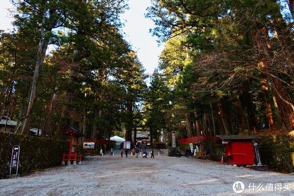 浅草|【玩不丧志】 篇七十四：被张大妈送去日本旅行，是什么体验？