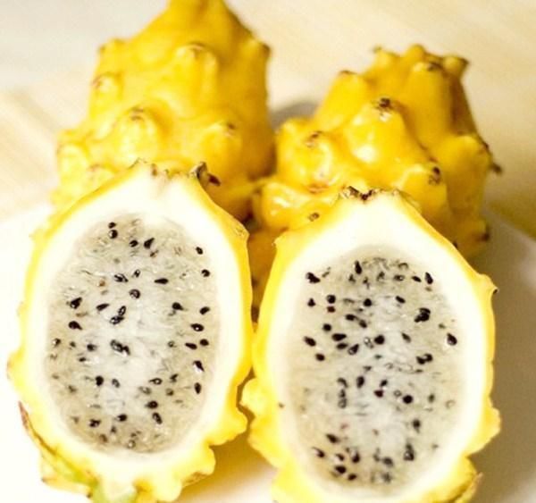 水果|4种“世界级”水果,土豪表示没吃过,网友最后一种让我想起了聊斋