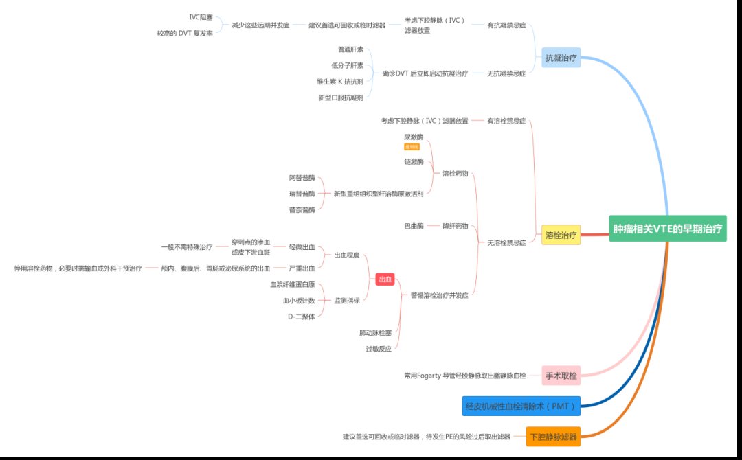 思维导图|巧用思维导图，轻松get血栓知识