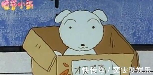 小白|蜡笔小新我白哥封神之路,超级小白C位出道,一只狗拯救世界